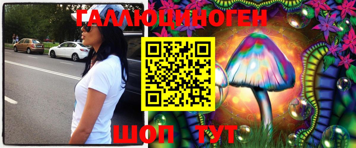 Обнинск  Галлюциногенные грибы Cubensis  Вход с VPN 